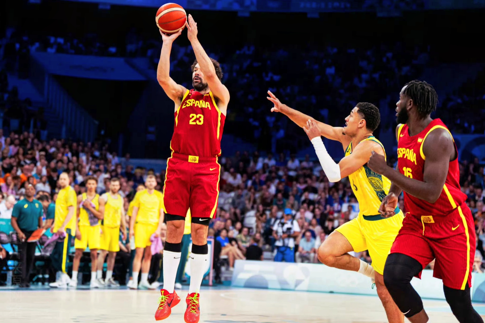 西班牙男篮横扫掘金,加里纳利一己之力扛起全队 西班牙男篮横扫掘金,加里纳利一己之力扛起全队