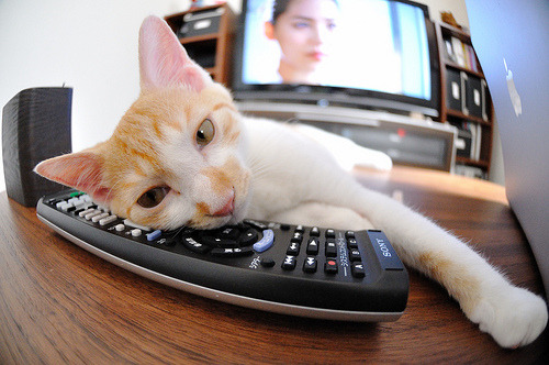 赛道之外,聚光灯下,弗拉霍维奇如何成为F1年度争冠之夜的意外焦点